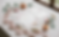Gemini_Generated_Image_e30o72e30o72e30o.png
