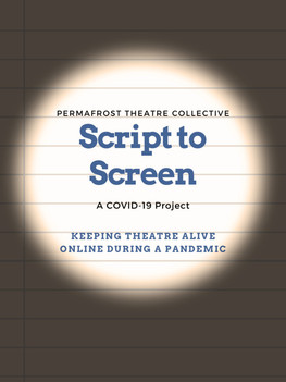 Script to Screen
