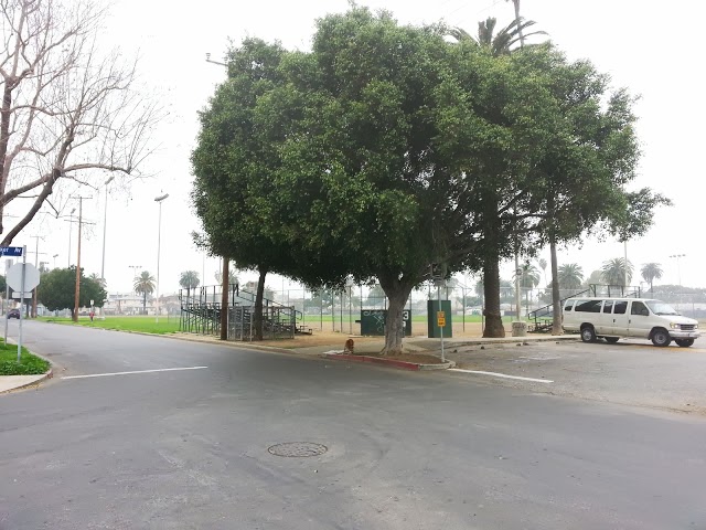 20130205_103240.jpg
