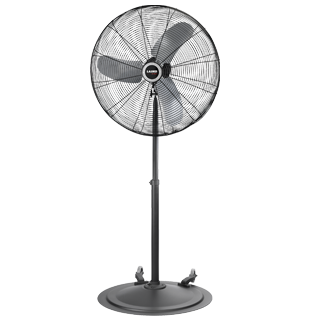 Pedestal Fan