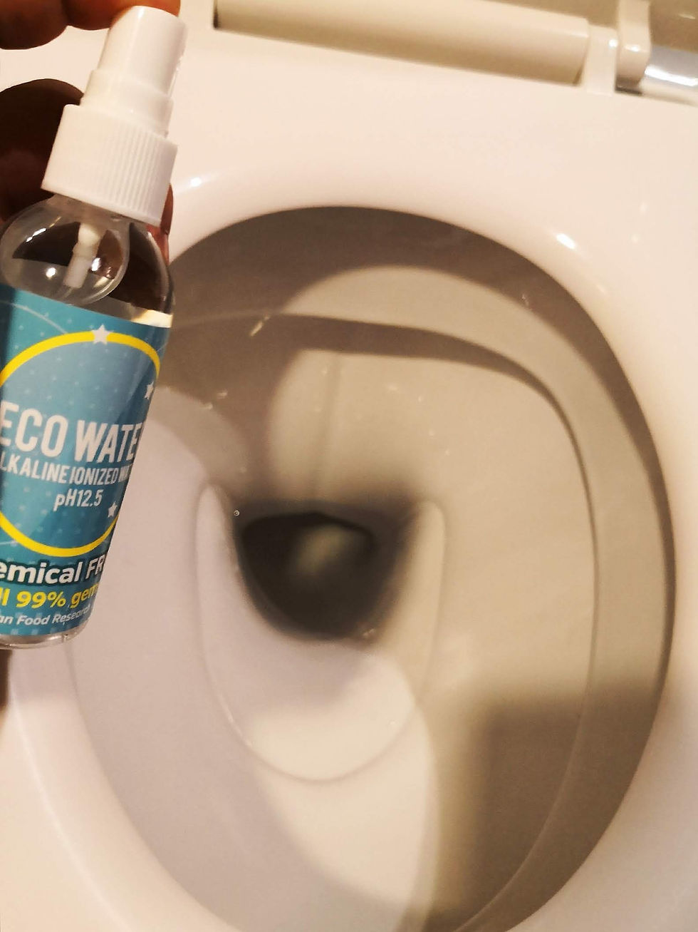 Toilet Seat