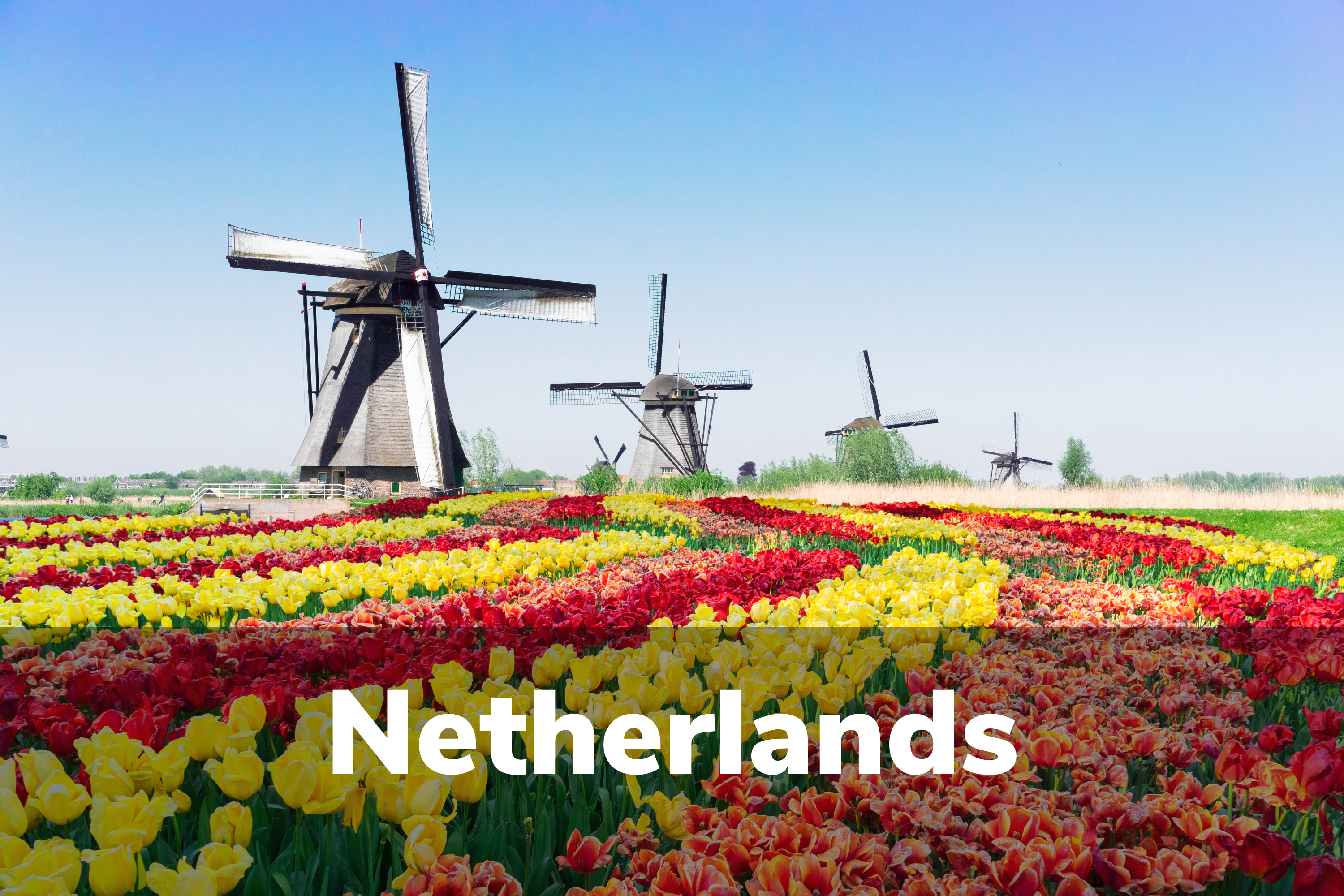 Oke Netherlans
