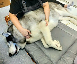 WhatsApp 圖片2025-08-2914.29.49_76710743.jpg