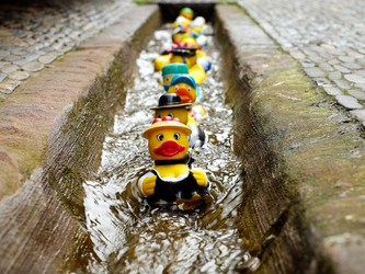 Are your Ducks in a Row for Tax Season?