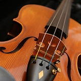 Violin Rental.jpg