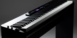 All NEw for 2019 Casio PX-S1000