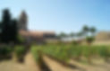 Clos de la charité - St Honorat LD.jpg