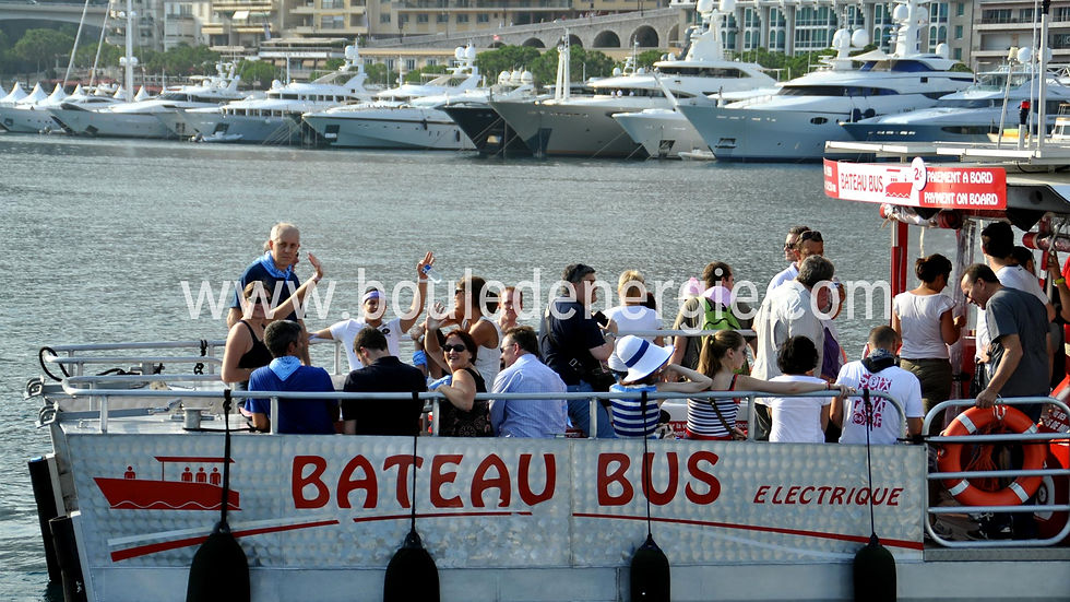 Thumbnail: MONACO GREEN TOUR