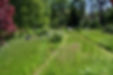 Les Jardins de Bressault - Jardin écologique - Biodiversité - Sud Essonne 35.jpg