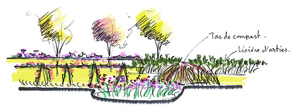 Les Jardins de Bressault - Jardin écologique - Biodiversité - Sud Essonne 32.jpg
