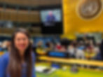 Saphira Rameshfar, United Nations Representative, New York City Baha'i International Community