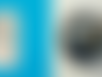 Thoughts on Thermometers, Thermostats & Dr Martin Luther King Jr