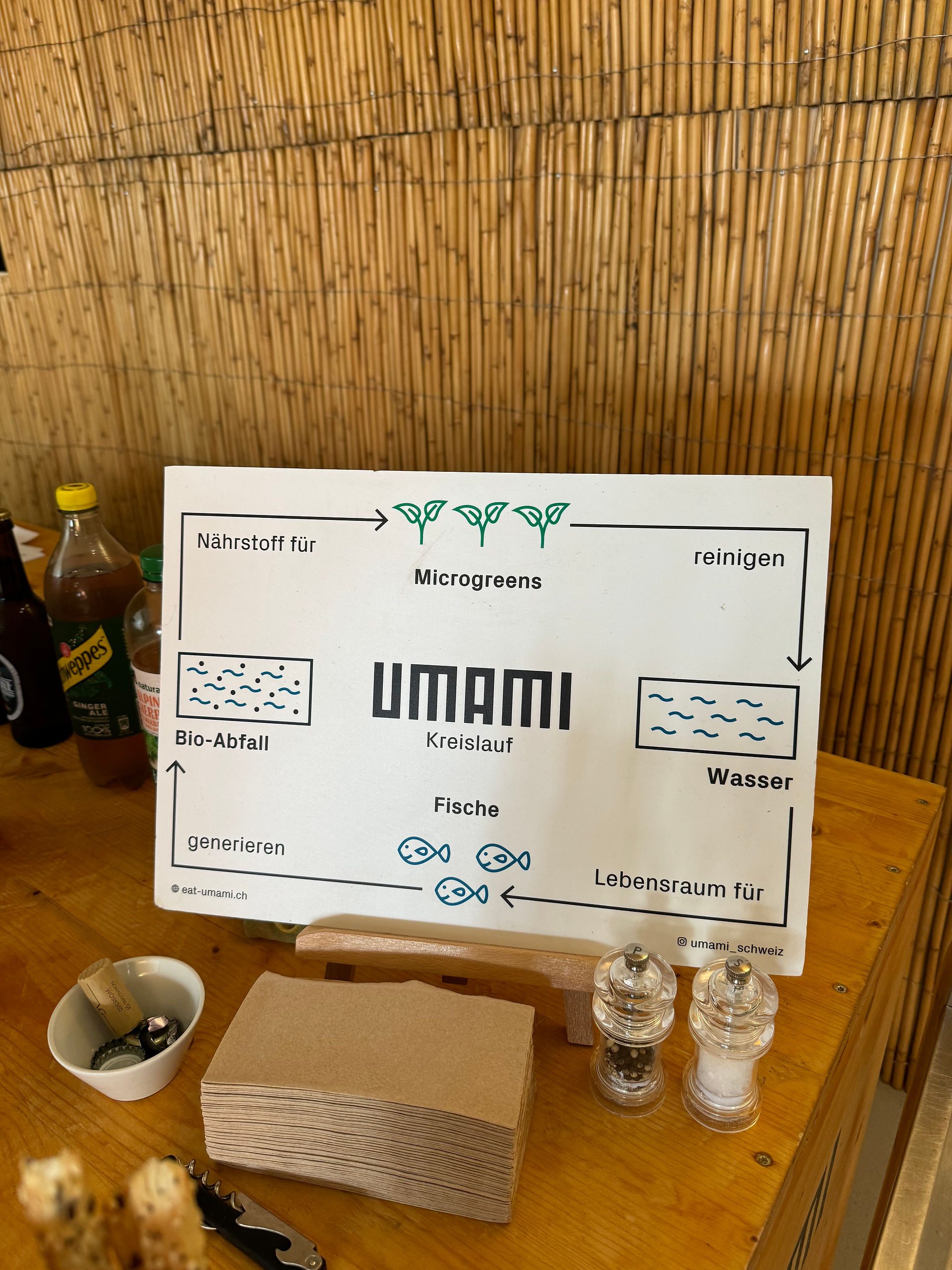 Umami Kreislauf