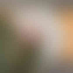 Made in Zürich Tag der offenen Tür Schlachthof-Areal