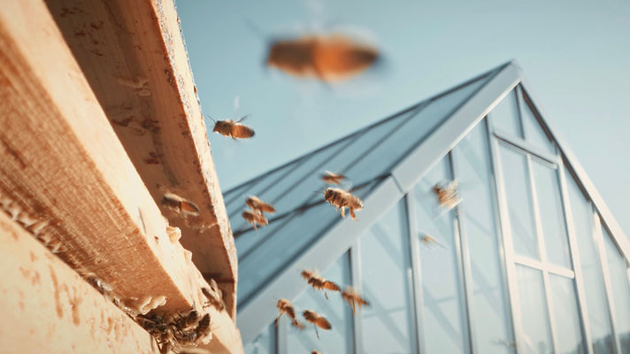 Durchgehend geöffnet.