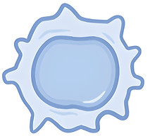 aedc21dd-cdb3-439e-8d14-83cb43492216.jpeg