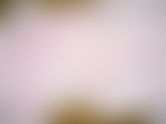 Kalligrafie: Langzaam schrijven, langzaam leren