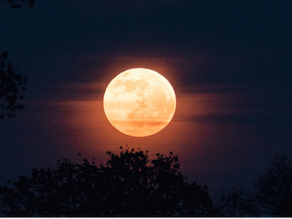 Volle maan en Zhineng Qigong