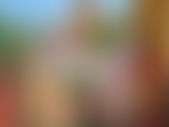 SUITCASE FASHION EXPERIENCE EDICION SAN MIGUEL DE ALLENDE NUESTROS PROUD SPONSORS!