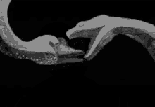 snakedeath.gif