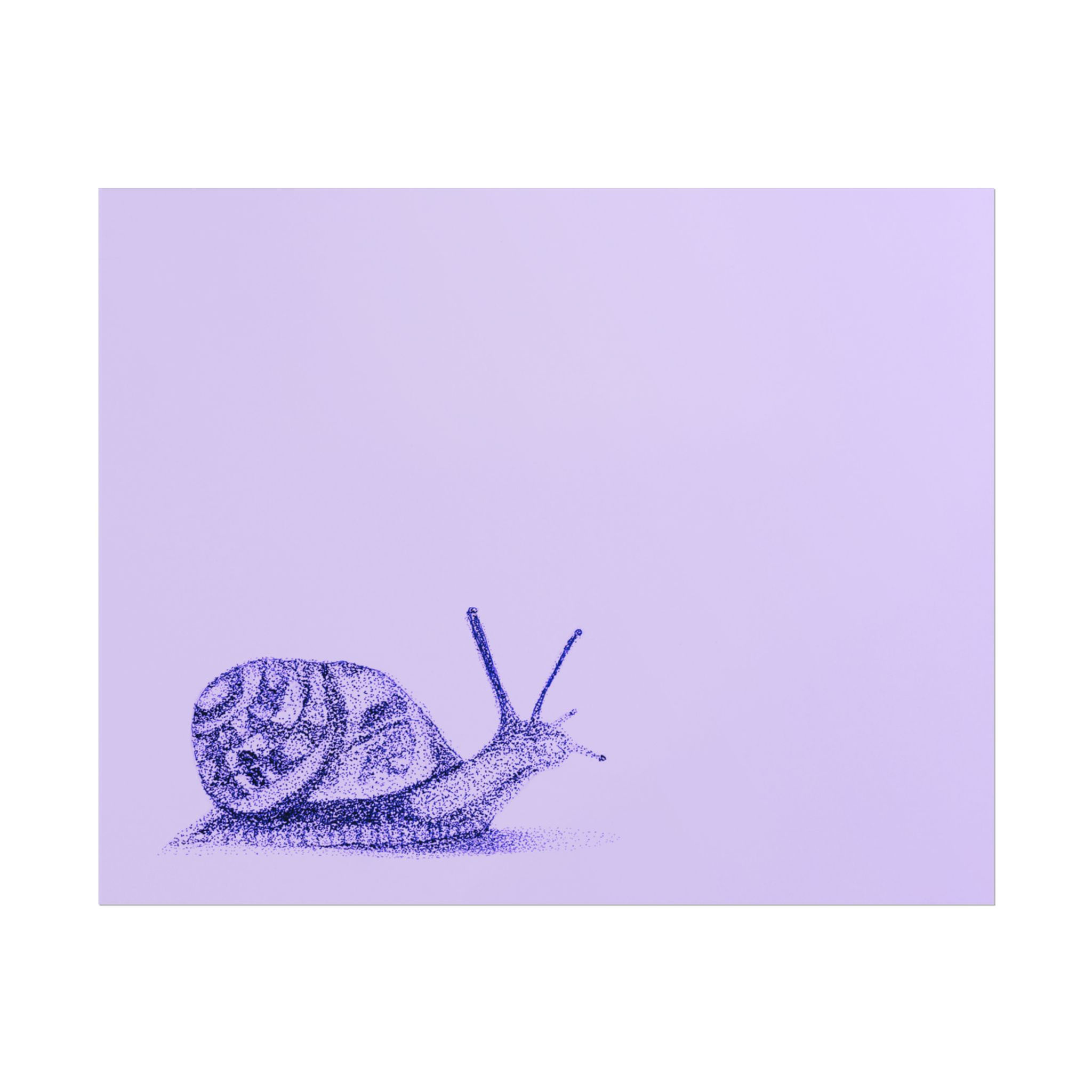 Violet Snail (Slow Your Roll) Art Print