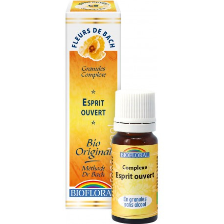 Esprit ouvert
