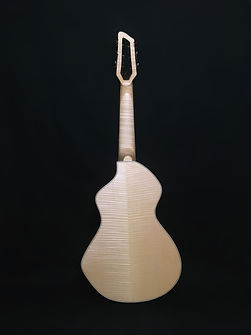 violitare