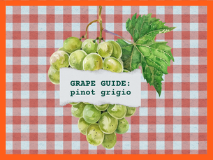 Pinot Grigio Grape Guide
