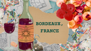 Bordeaux, France Wine Region Guide