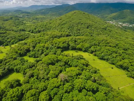 Exploring Sustainable Initiatives and Challenges in Jamaica: A Closer Look at Unknown Narratives