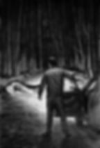 THE TRIANGLE FOREST 02