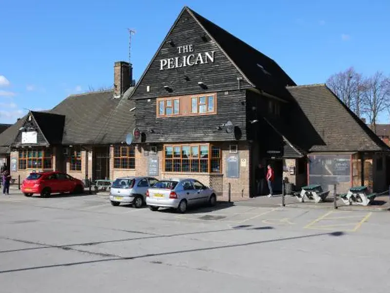 The Pelican