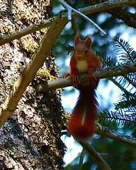 DSC_6783 (1)_edited.jpg