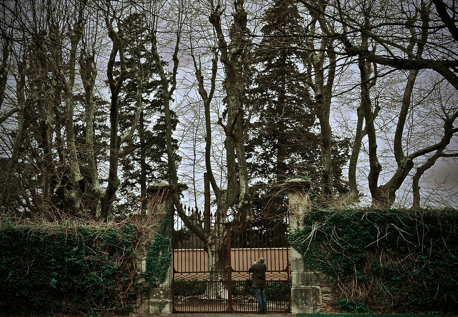 DSC_0621 2.JPG