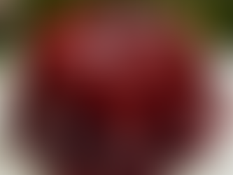 Cranberry Apple Gelatin Mold
