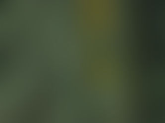 Improving Safety & Strategy on the 17th Hole