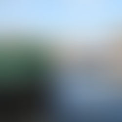 Shepperton Marina Freezes Mooring Fees for 2026 Season