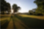 Optios background 2.jpg