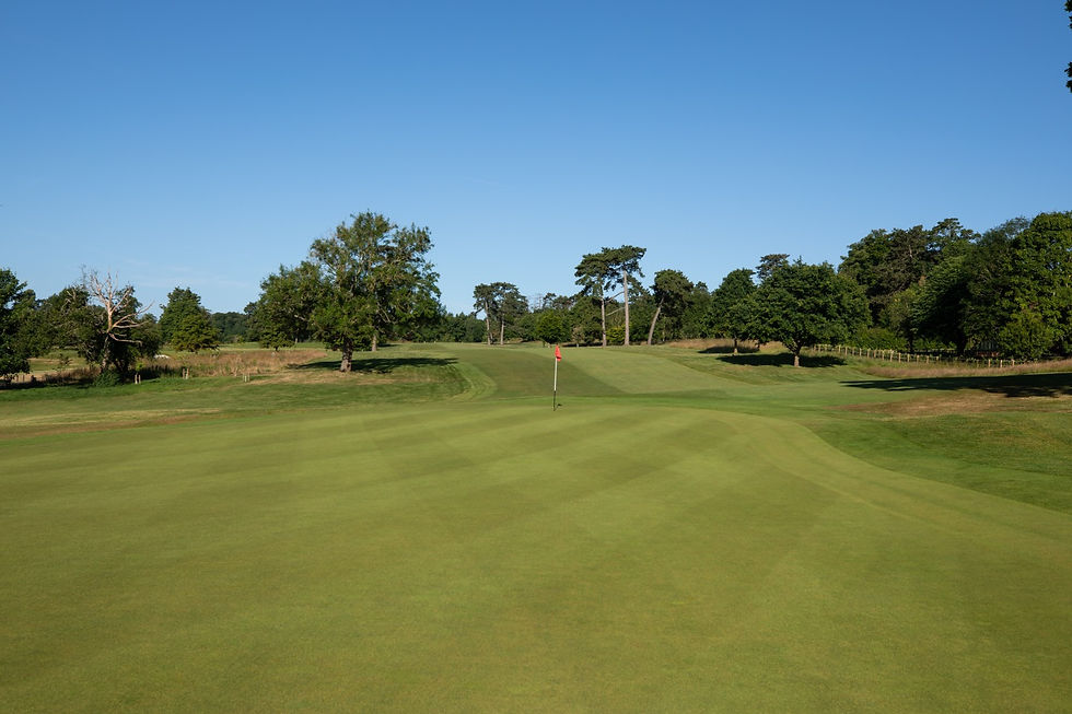 Club Update – A Busy and Exciting Fortnight at Harleyford