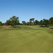 The course large.jpg