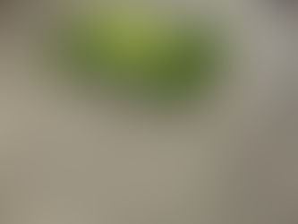 Fairway Mats Trial Now Underway at Harleyford