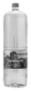 San Benedetto Natural Water - 1 LT