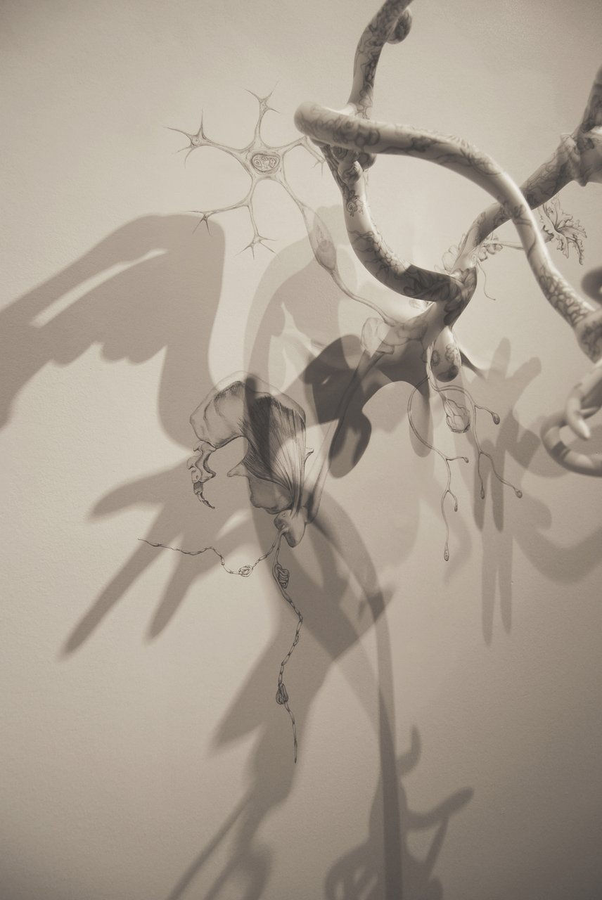 Untitled 019