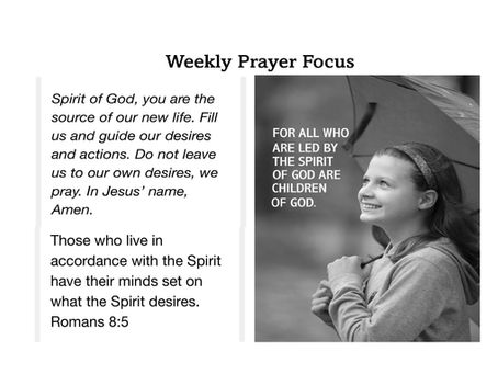 Weekly Prayer Focus - 08/12/2026