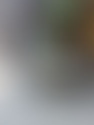 "ABS: Renewal and Investiture"