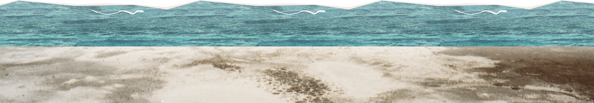 mc-toolbox-background.png