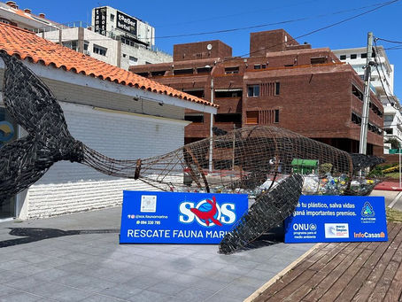 Asociación con Plasticoin y SOS Fauna Marina