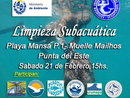 Limpieza Subacuática