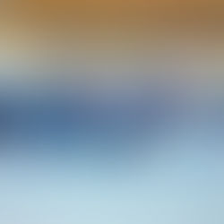 Antiguos puntaesteños