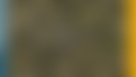 Día Internacional de la Madre Tierra